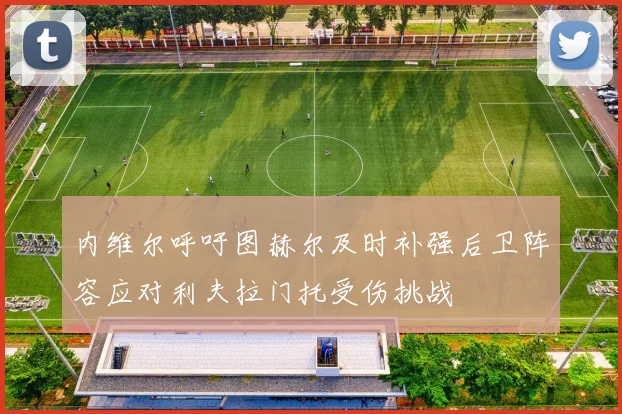内维尔呼吁图赫尔及时补强后卫阵容应对利夫拉门托受伤挑战