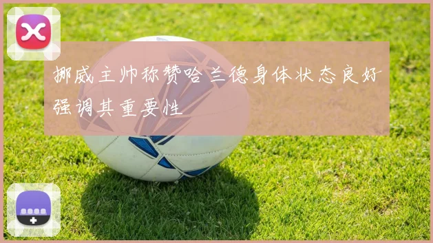 挪威主帅称赞哈兰德身体状态良好强调其重要性